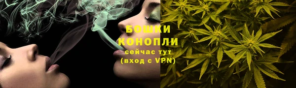 PSILOCYBIN Беломорск